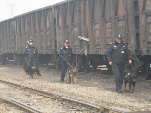 民警携警犬在编组场巡逻