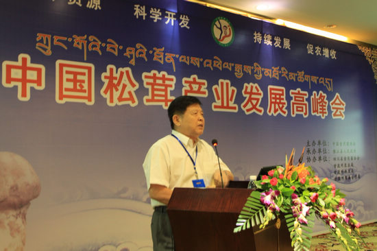 中國工程院院士李玉在大會上做報告