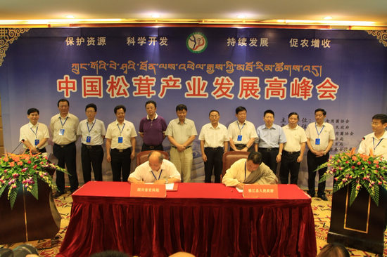 雅江市人民政府簽訂鬆茸發展合作協議