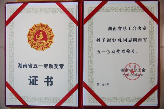 4．湖南省中专学历认证：湖南省中学教育认证中心采用什么方式认证？