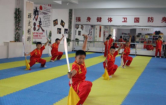 培训武术技艺传承中华文化