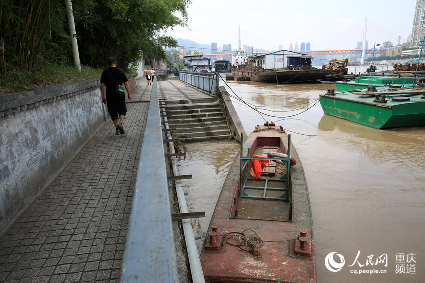 12日，南濱路水位距濱江步道隻有1米左右的距離。劉政寧 攝