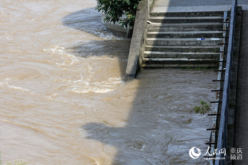 長江和嘉陵江的水位仍在繼續上漲中。劉政寧 攝