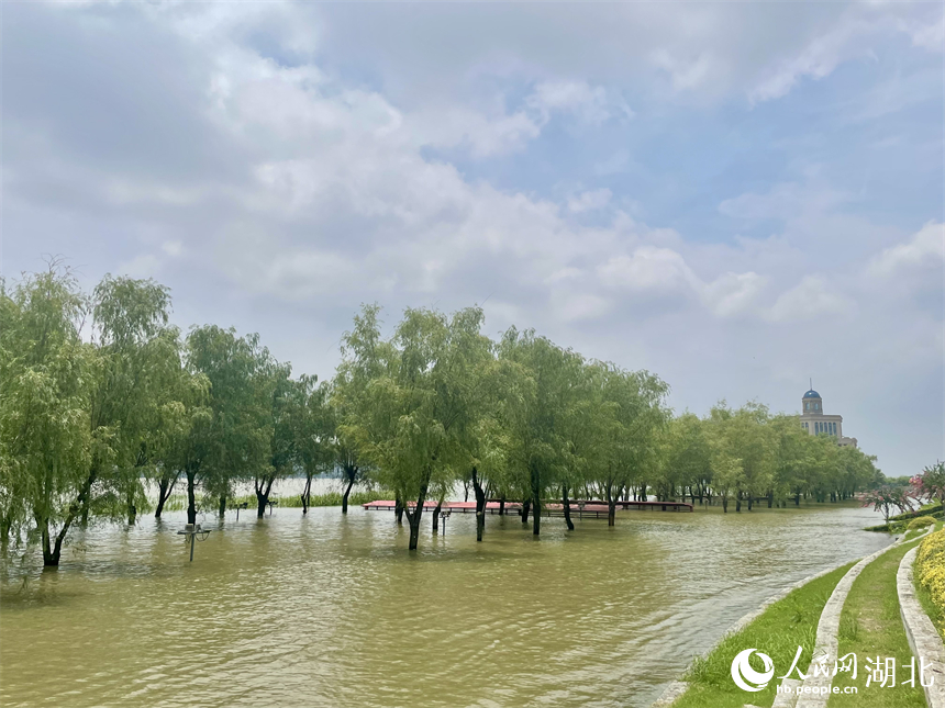7月2日，武汉汉口江滩江水漫过亲水平台。人民网记者 周恬摄