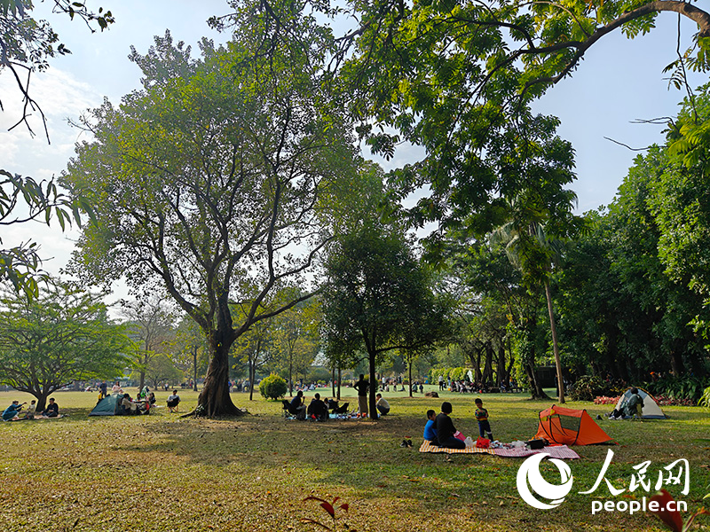 2024年1月7日，位于廣東廣州的華南國家植物園，市民攜親友出行，享受戶外時光。人民網 王雅蝶攝