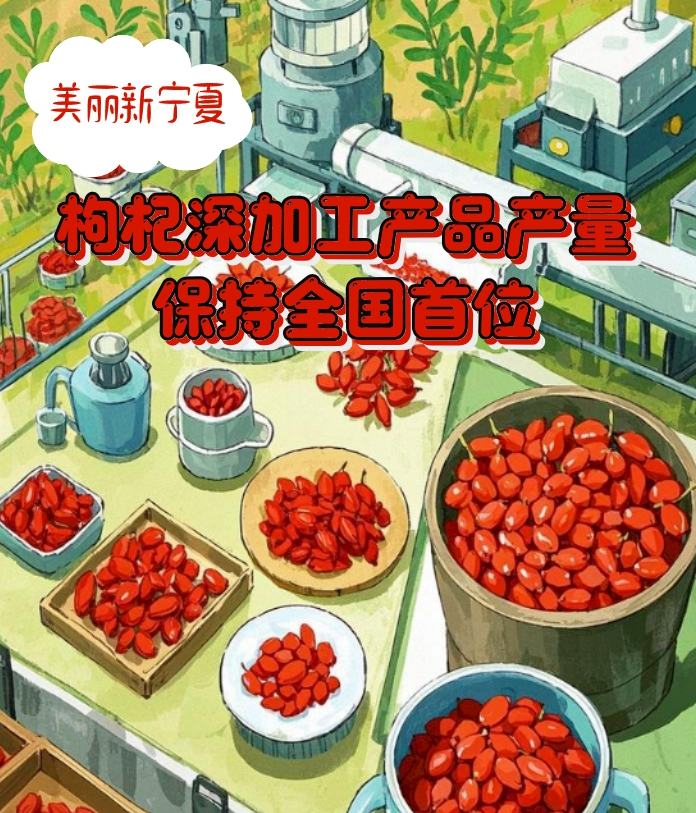 兩會觀察丨這，就是美麗新寧夏