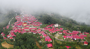 雲南：團結花開 一路芬芳