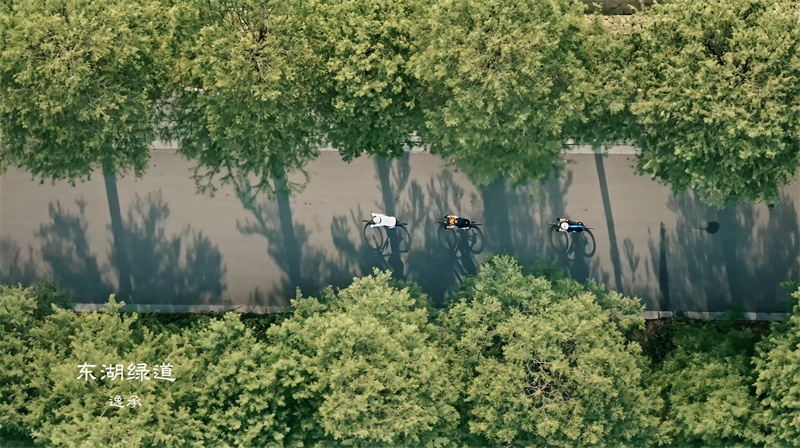 东湖绿道 逸承摄