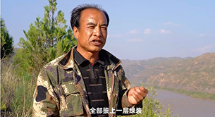 黄河崖壁种树记