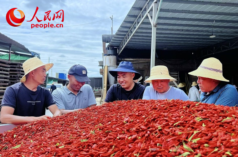 格尔木枸杞交易市场。人民网 顾斐菲摄