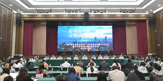 大企业政策辅导沙龙活动现场。广西壮族自治区税务局供图
