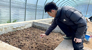 “茶博士”的春天