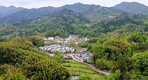 大灣村十年之變