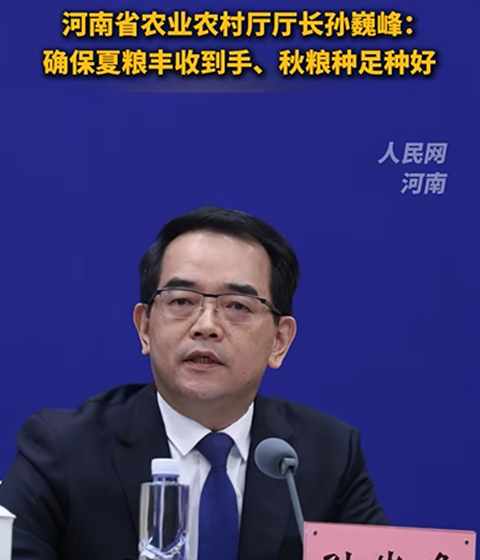 河南省农业农村厅厅长孙巍峰：确保夏粮丰收到手、秋粮种足种好