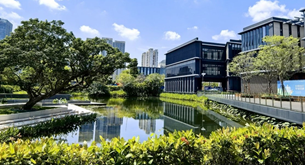 前海“深港汇”：小楼群承载大试验