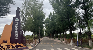 风沙里的“玫瑰园”