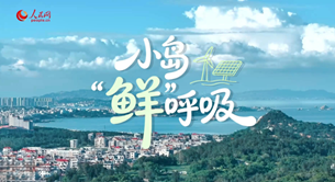 这个海岛，“见缝插针”追“零碳”