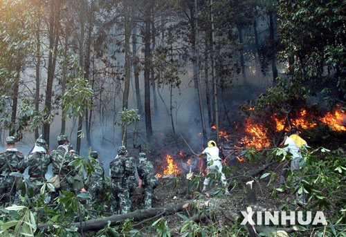 重庆主城区北端渝北区发生森林火灾 无人员伤