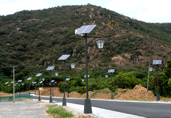 生态园有了生态灯 新型节能路灯亮相高新区