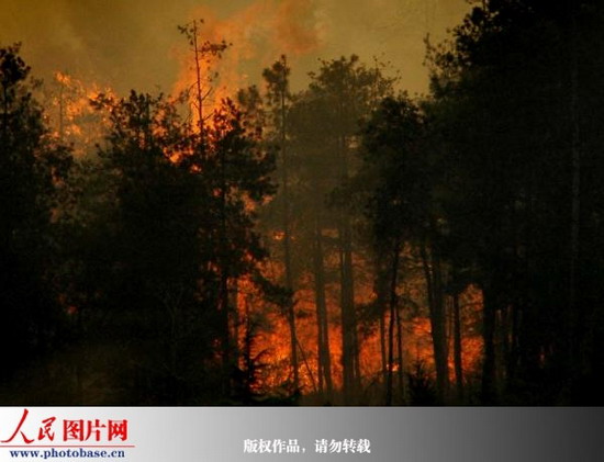 贵州龙里县国有林场遭遇大火 过火面积逾6千亩