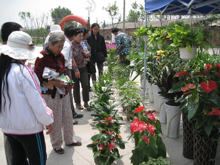 多种群众活动为槐花节添彩