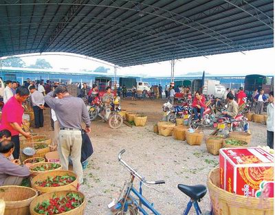 连州建成清远最大水果批发市场