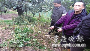 重庆:一男子梦见老婆违背承诺 用菜刀将其砍死