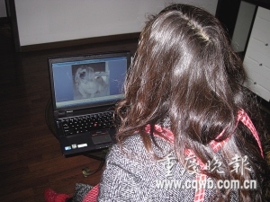 重庆女子为病亡宠物狗守灵<em>24</em>小时 7天以泪洗面