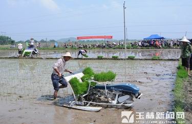 玉林市水稻生产全程机械化示范项目现场会举行