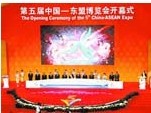 第五届博览会开幕