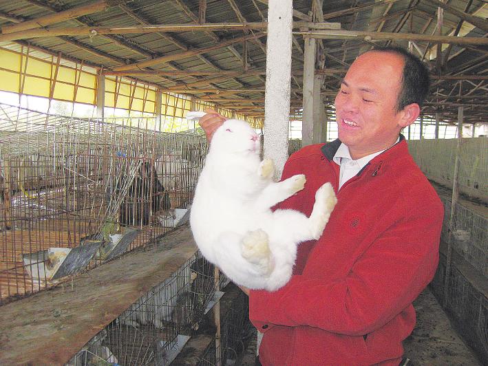 邕宁区蒲庙镇返乡创业农民工养殖肉兔出钱途